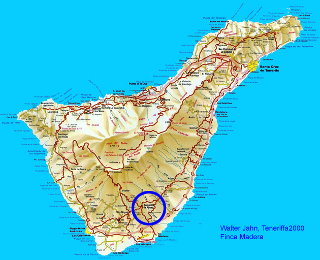 Finca Madera im Sden von Teneriffa