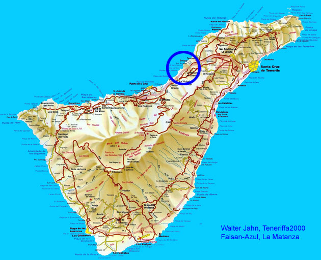 Cuco Azul im Nordosten von Teneriffa